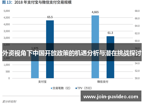 外资视角下中国开放政策的机遇分析与潜在挑战探讨